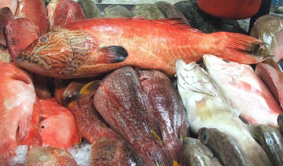 Another fatso from the waters of Palawan, a lapu-lapu going for P450 a kilo. It's no wonder China has its eyes on the bounty that swims around on that side of the ocean. Below right is a pink Maya-maya, those on left are more lapu-lapu.