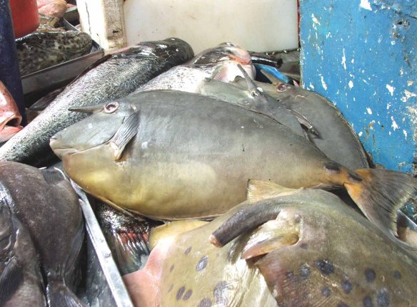 Sorahan (center) for P180 a kilo. Below (with cut tail) is the manta ray also called devil fish going for the same price.